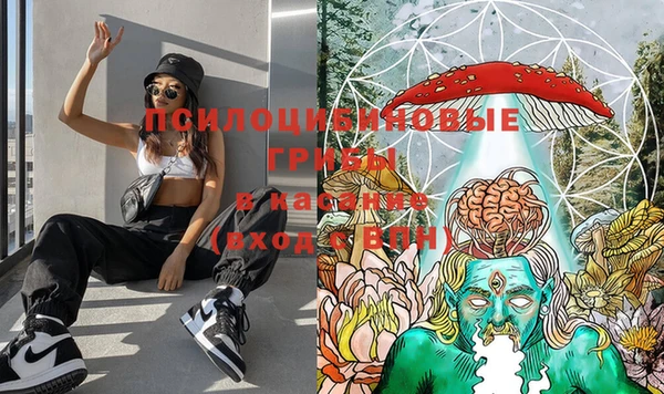 MESCALINE Белокуриха