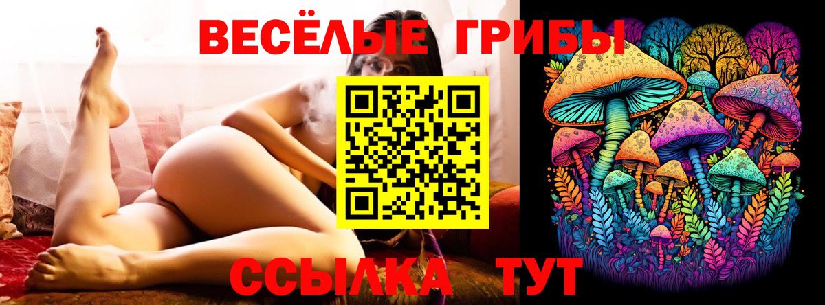 Псилоцибиновые грибы мицелий Беслан