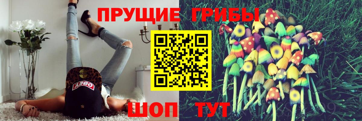 Псилоцибиновые грибы MAGIC MUSHROOMS  Вход с VPN  Беслан  Галлюциногенные грибы Cubensis 