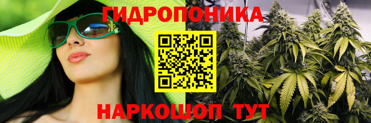 Беслан  Конопля планчик  Каннабис Bruce Banner  Конопля конопля  Вход с VPN 